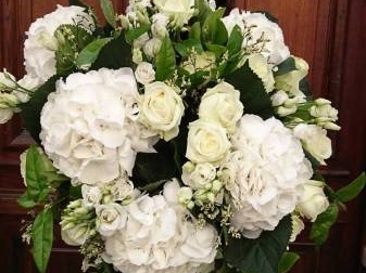 Bouquet de fleurs blanche lyon 