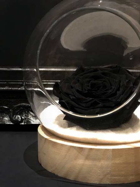 Rose éternelle noire
