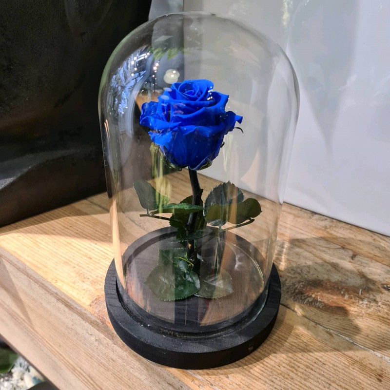 Rose éternelle  fleuriste à Lyon